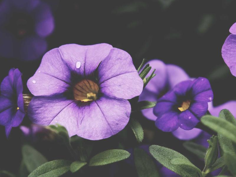 sudoku hint feature screenshot 6