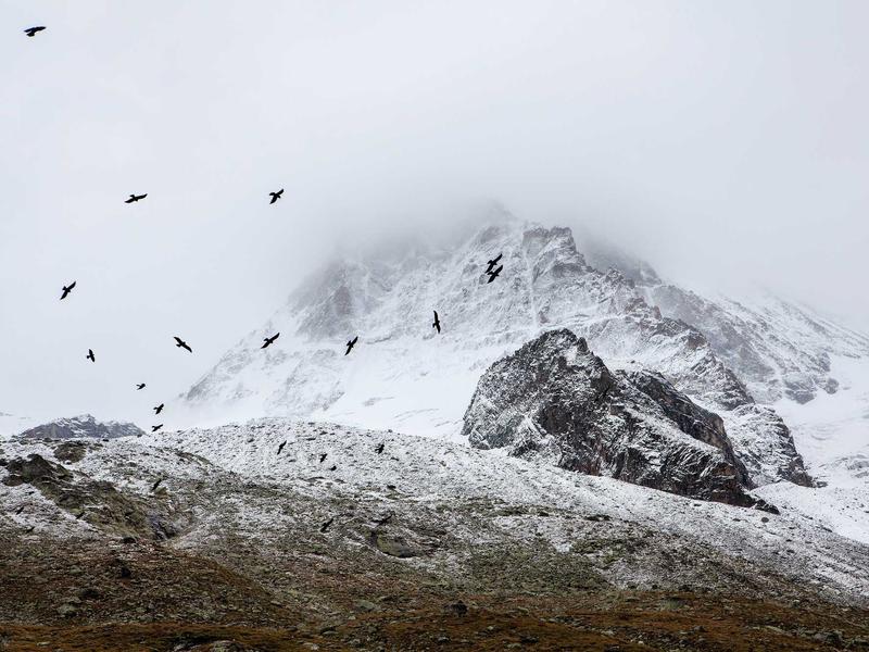 sudoku pattern learning